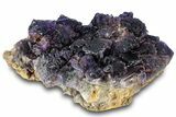 Dark Purple Fluorite Crystal Cluster - Cave-in-Rock, Illinois #322803-1